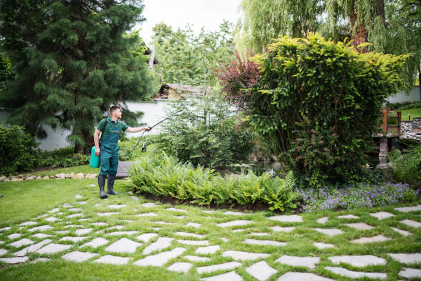 Best Best Pest Control Companies  in Northview, MI