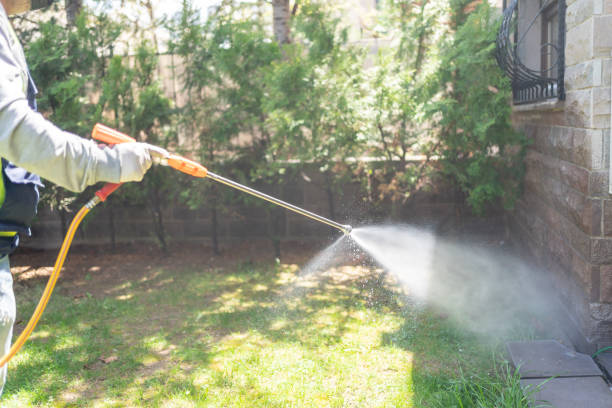 Best Local Pest Control Services  in Northview, MI